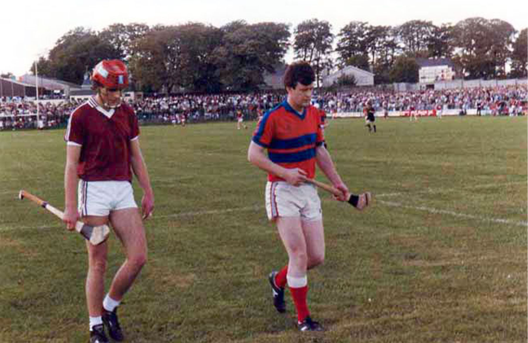 County Senior Hurling Championship 1989 Slide background